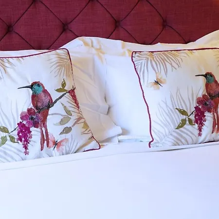 23 St Mary's Bed and Breakfast Γιορκ